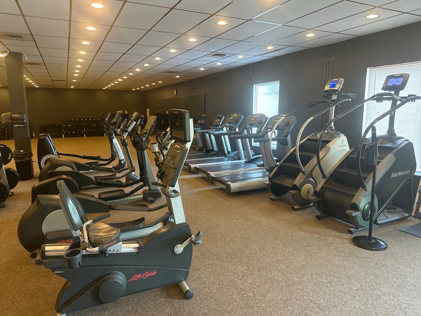 Cardio area with treadmills and ellipticals