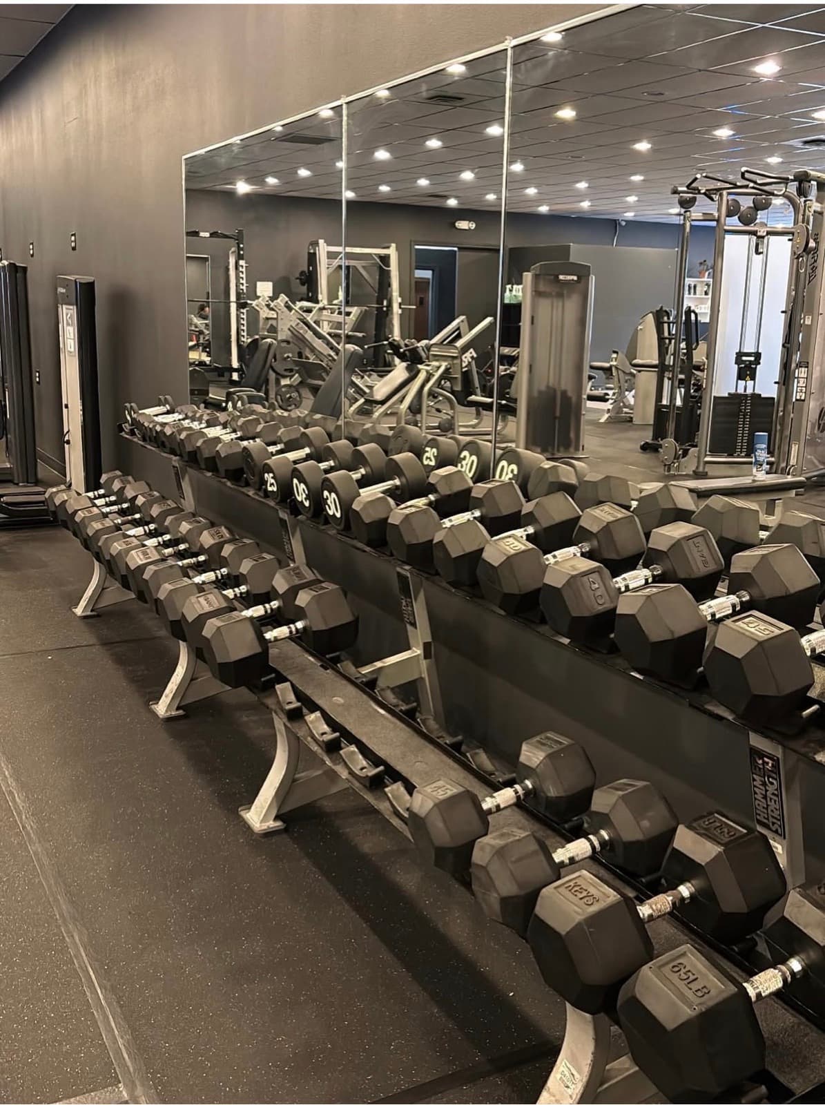 Free weights and dumbbell rack